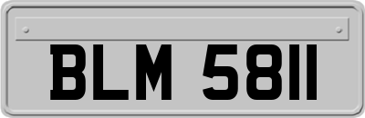 BLM5811