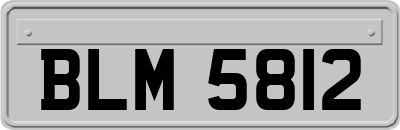 BLM5812