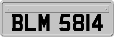 BLM5814
