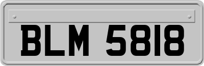 BLM5818