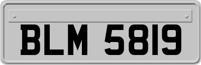 BLM5819