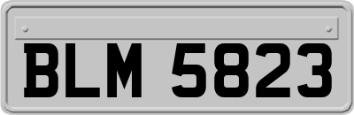 BLM5823