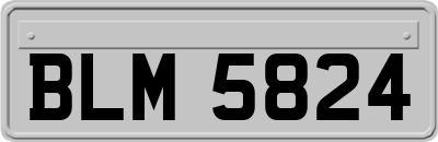 BLM5824