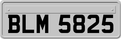 BLM5825