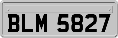 BLM5827