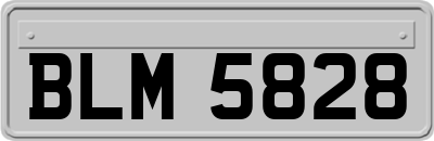 BLM5828