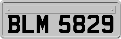 BLM5829