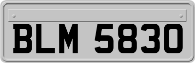 BLM5830