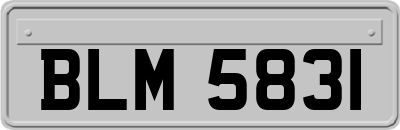 BLM5831