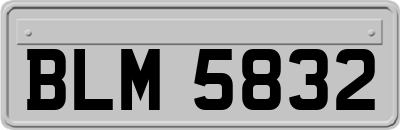 BLM5832