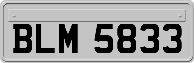 BLM5833