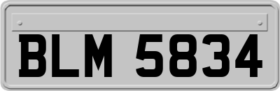BLM5834