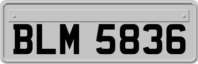 BLM5836