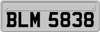 BLM5838