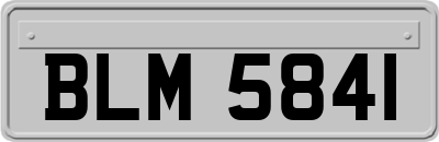 BLM5841