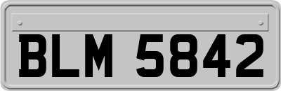 BLM5842