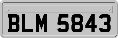BLM5843