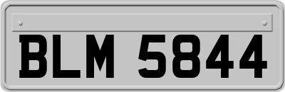 BLM5844