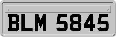 BLM5845