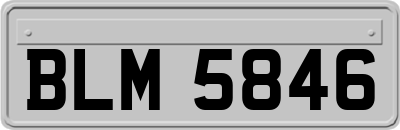 BLM5846