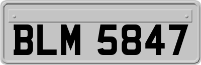 BLM5847