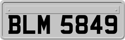 BLM5849