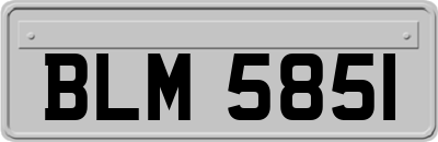 BLM5851