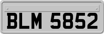 BLM5852