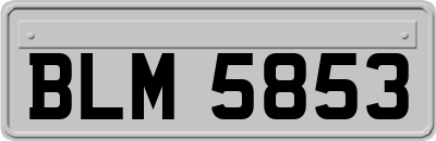 BLM5853