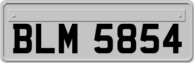 BLM5854