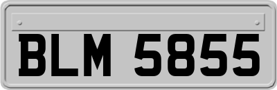 BLM5855