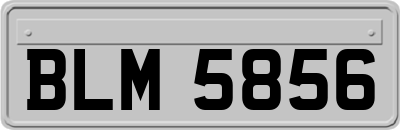 BLM5856