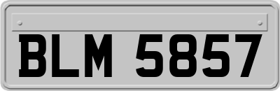 BLM5857