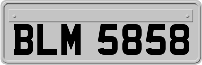 BLM5858