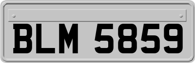 BLM5859