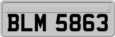 BLM5863