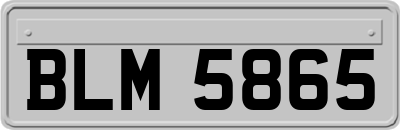 BLM5865