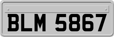 BLM5867