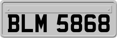 BLM5868