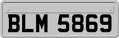 BLM5869