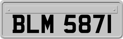 BLM5871