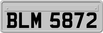 BLM5872