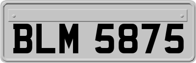 BLM5875