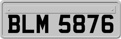 BLM5876