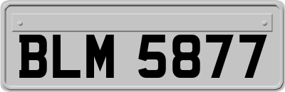 BLM5877