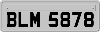 BLM5878