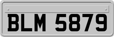 BLM5879