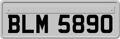 BLM5890