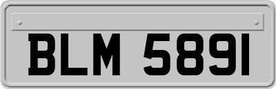 BLM5891