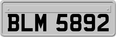 BLM5892